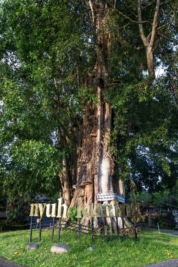 Bijia Villa W Private Pool - Peaceful Quiet Luxury Villa - Near Monkey Forest Ubud Buitenkant foto